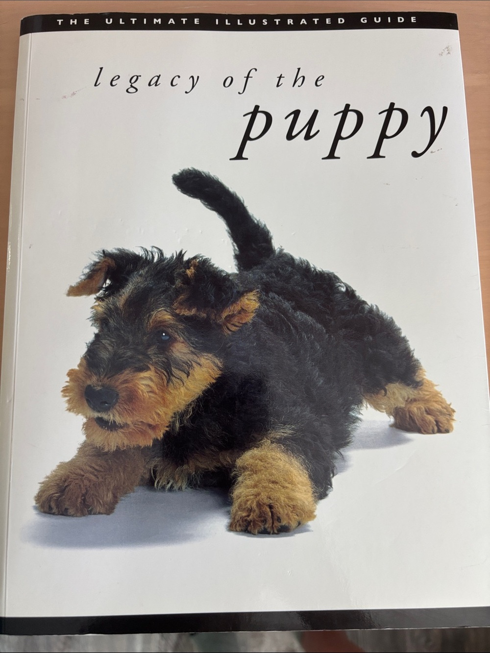 Legacy of the Puppy Hardcover Book - Black and Tan